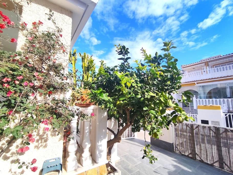 Rincon Mediterraneo Gran Alacant Extérieur photo